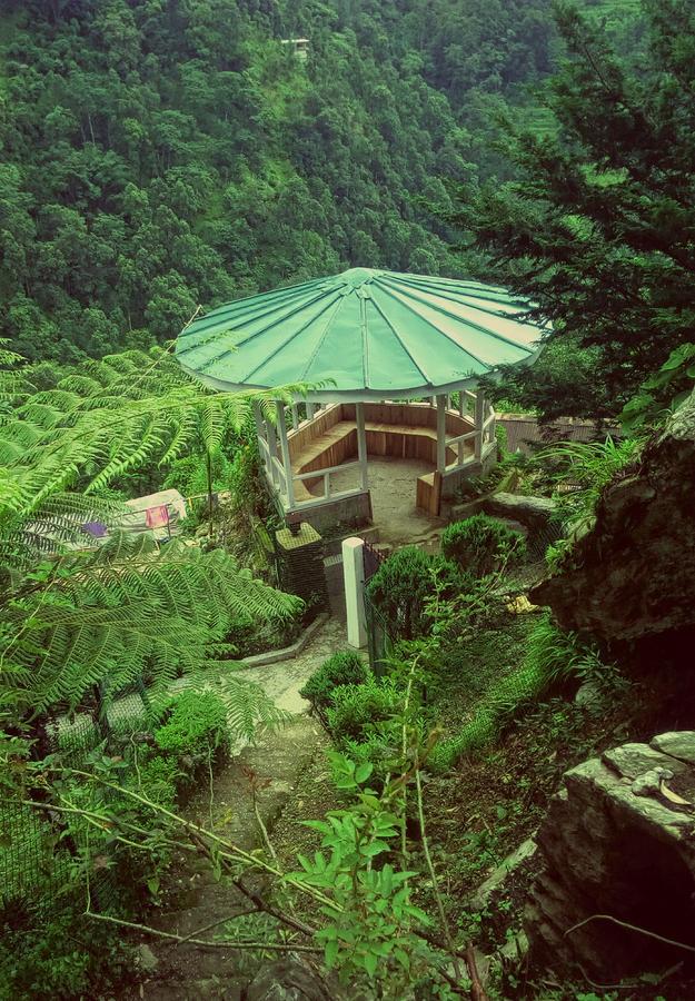 Enchanted Forest Farmstay 甘托克 外观 照片