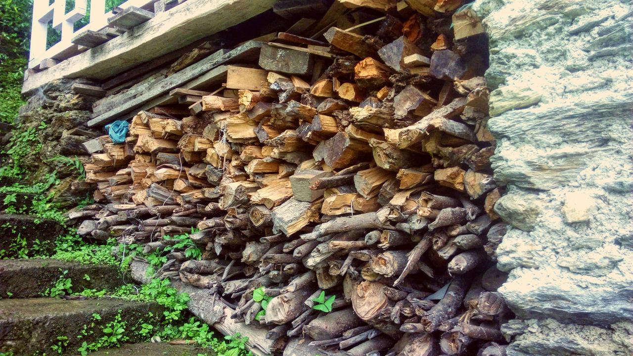Enchanted Forest Farmstay 甘托克 外观 照片