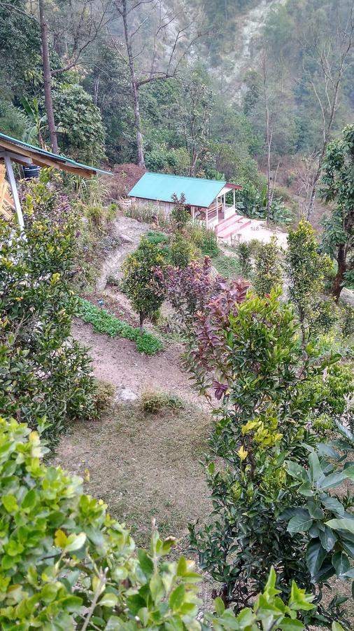 Enchanted Forest Farmstay 甘托克 外观 照片