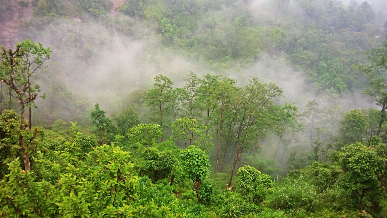 Enchanted Forest Farmstay 甘托克 外观 照片