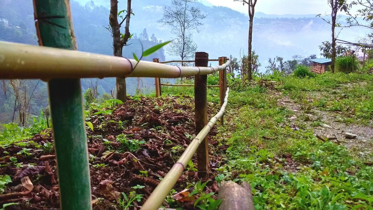 Enchanted Forest Farmstay 甘托克 外观 照片