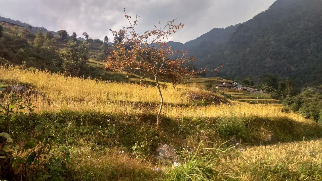 Enchanted Forest Farmstay 甘托克 外观 照片