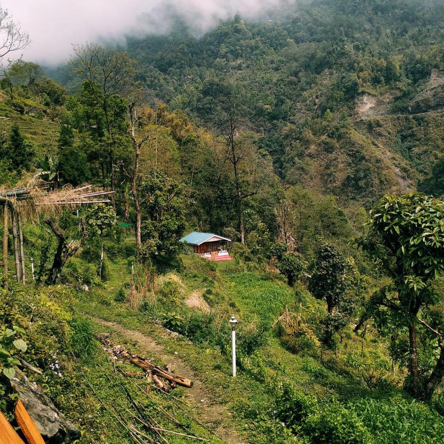 Enchanted Forest Farmstay 甘托克 外观 照片