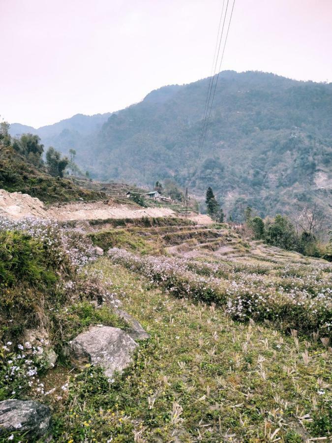 Enchanted Forest Farmstay 甘托克 外观 照片