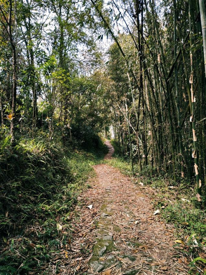 Enchanted Forest Farmstay 甘托克 外观 照片