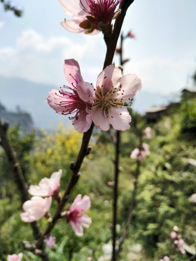 Enchanted Forest Farmstay 甘托克 外观 照片