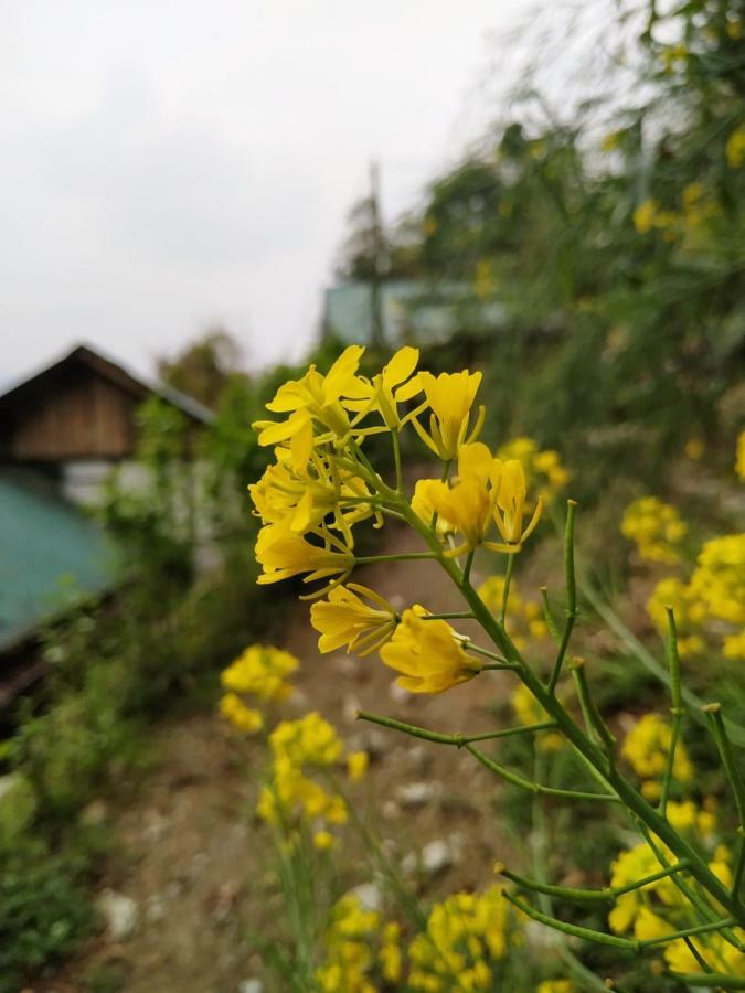 Enchanted Forest Farmstay 甘托克 外观 照片