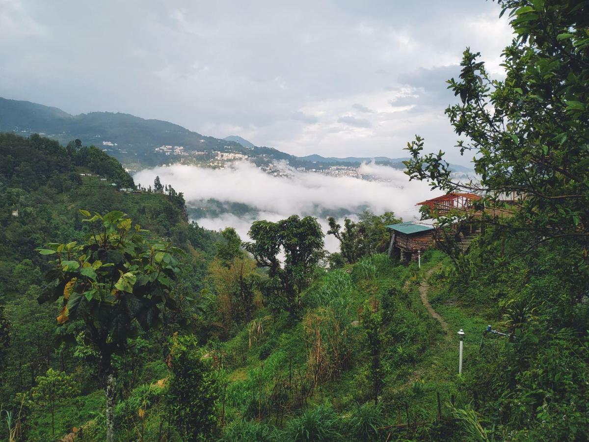 Enchanted Forest Farmstay 甘托克 外观 照片