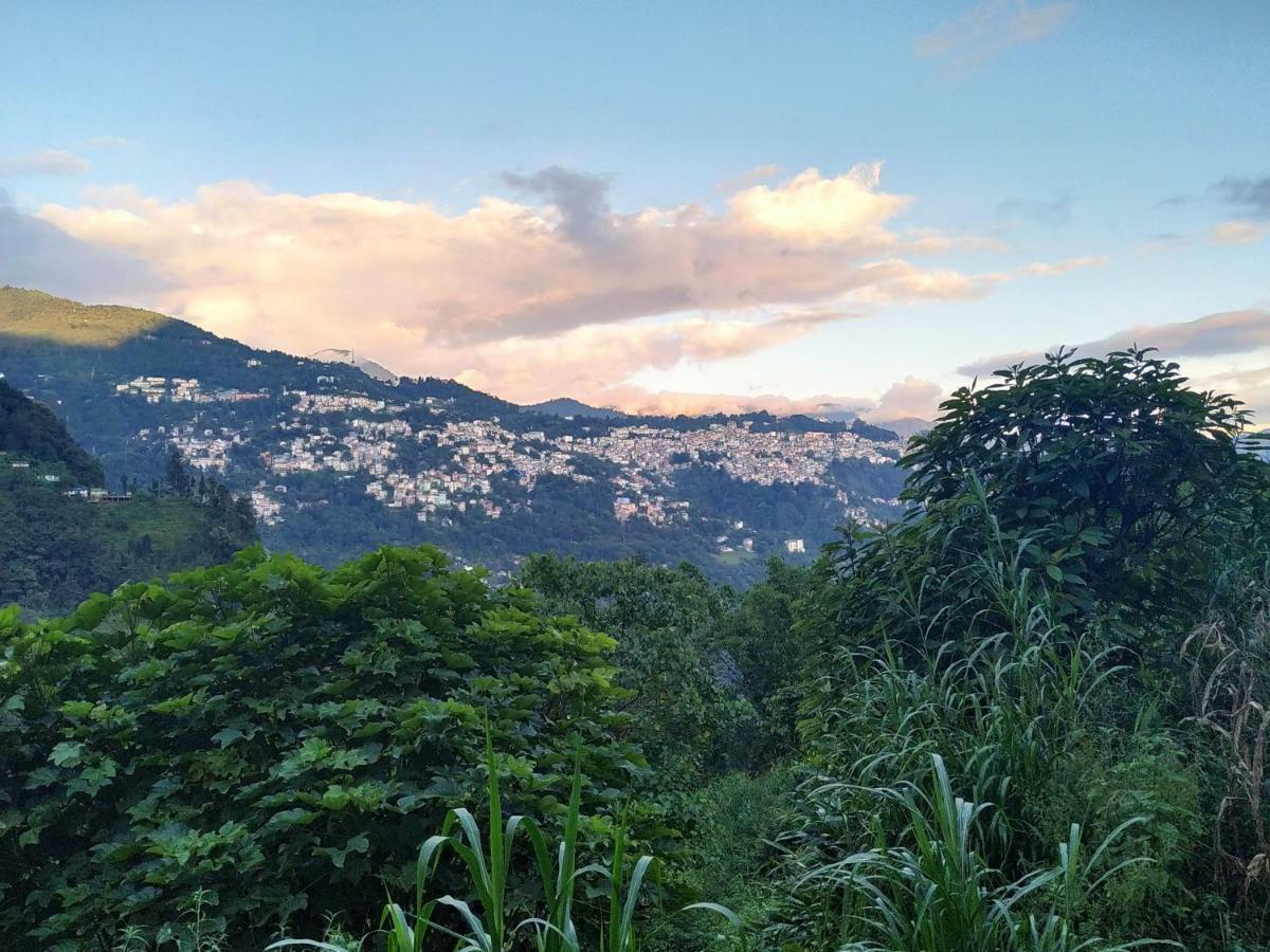 Enchanted Forest Farmstay 甘托克 外观 照片