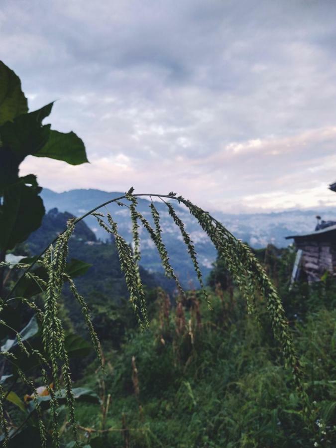 Enchanted Forest Farmstay 甘托克 外观 照片