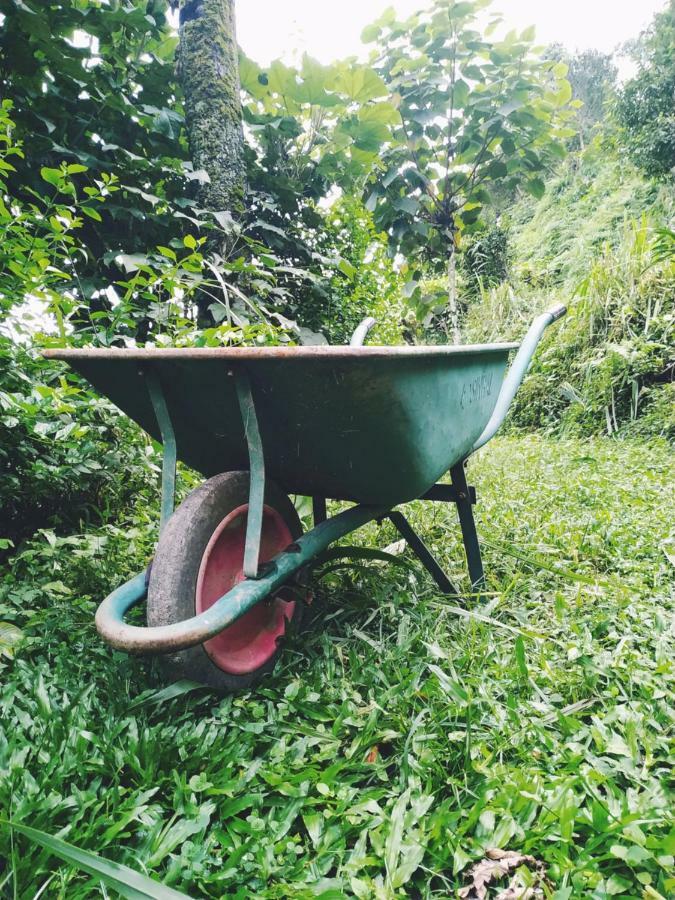 Enchanted Forest Farmstay 甘托克 外观 照片
