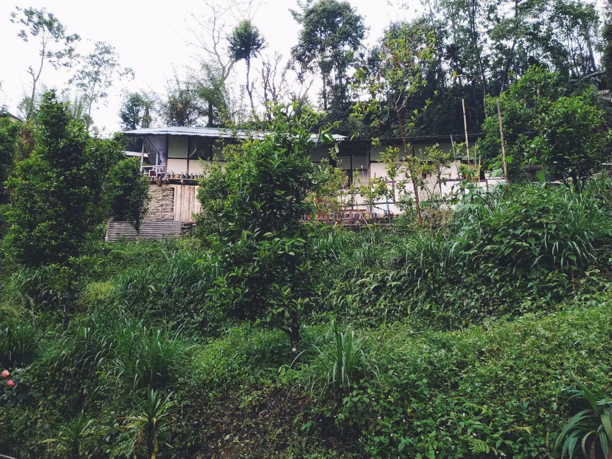 Enchanted Forest Farmstay 甘托克 外观 照片